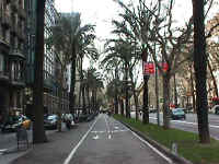Diagonal with Palms.JPG (49427 bytes)