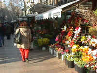 Flowers on Ramblas.JPG (52862 bytes)